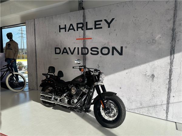 2022 HARLEY-DAVIDSON Softail FLSL 1745 Softail Slim 107