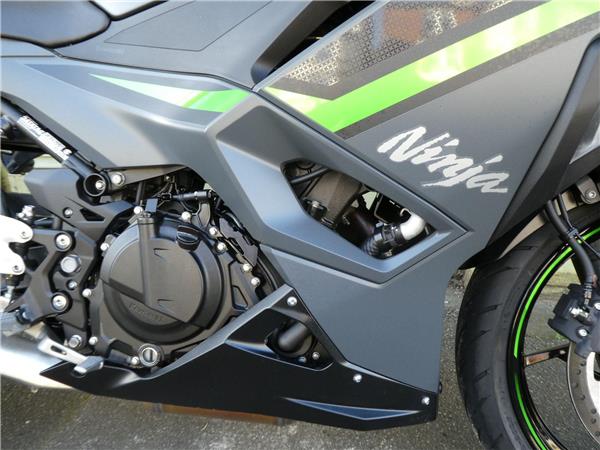 2024 Kawasaki Ninja 500