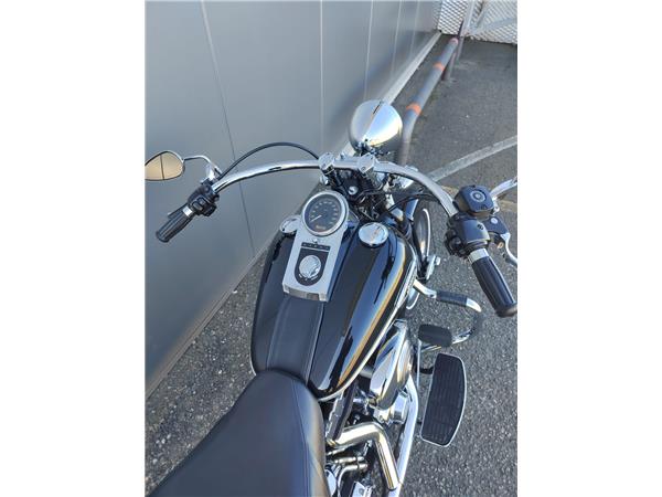 2005 Softail Springer Classic (EFI)