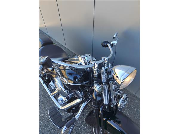 2005 Softail Springer Classic (EFI)