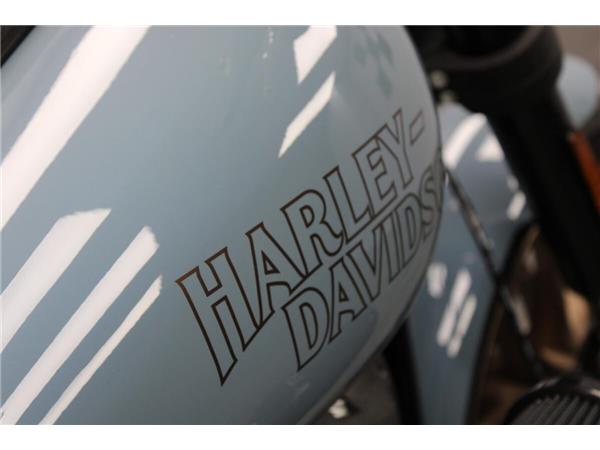 2024 Harley-Davidson Low Rider S
