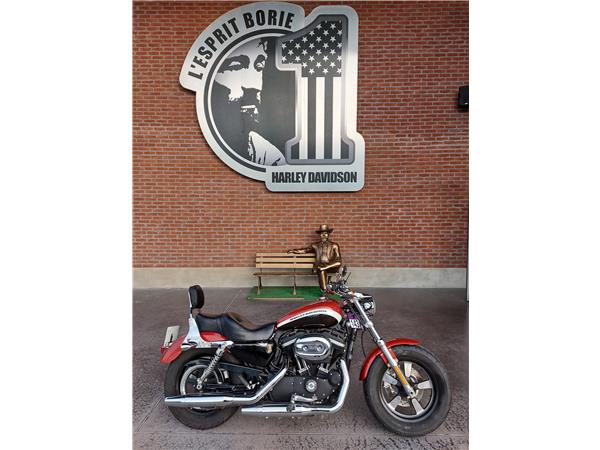 2013 HARLEY-DAVIDSON SPORTSTER 1200