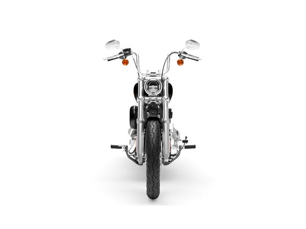 FXST Softail Standard MY23 (mit TZ)