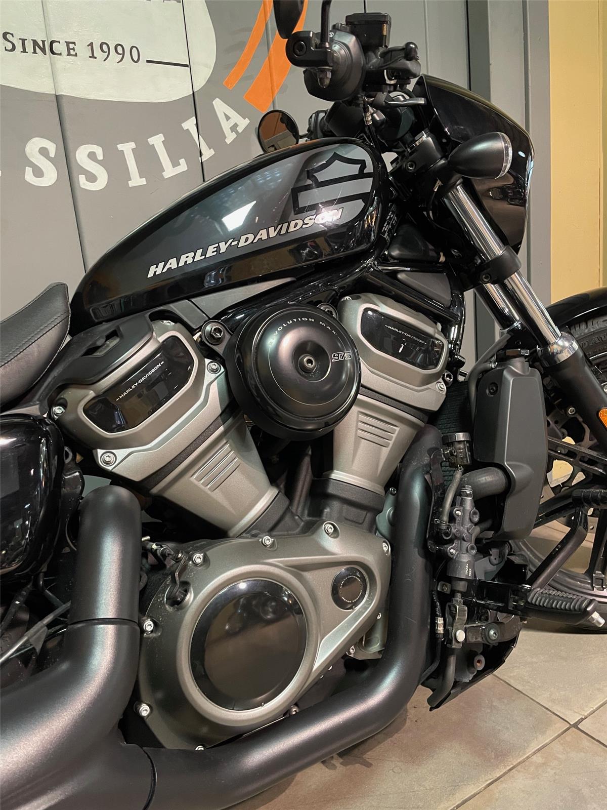 2023 HARLEY-DAVIDSON NIGHTSTER