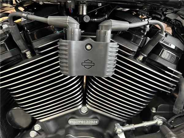 2023 Harley-Davidson Softail