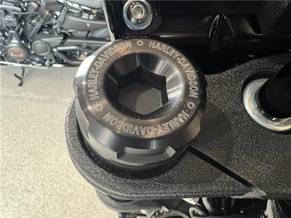 2023 Harley-Davidson Softail