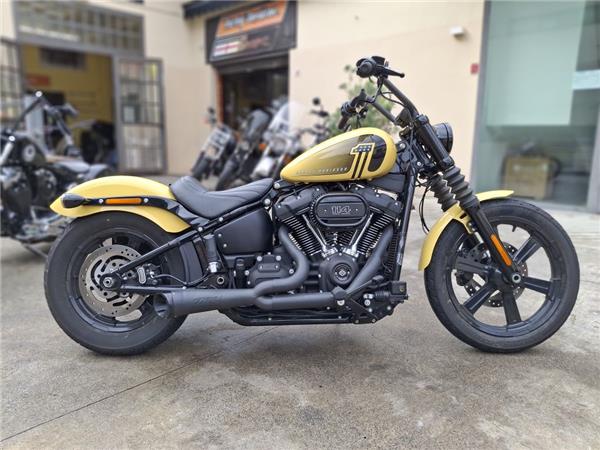 Harley-Davidson Cruiser