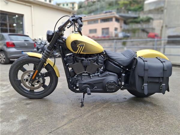 Harley-Davidson Cruiser