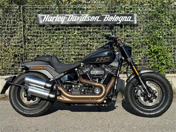 Harley-Davidson Cruiser