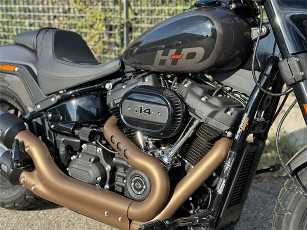 Harley-Davidson Cruiser