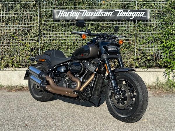 Harley-Davidson Cruiser