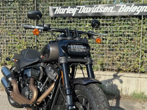 Harley-Davidson Cruiser