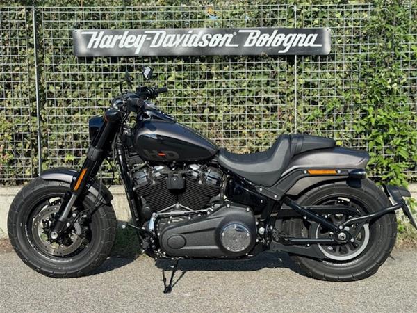 Harley-Davidson Cruiser