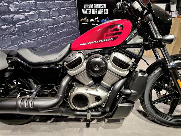Nightster 