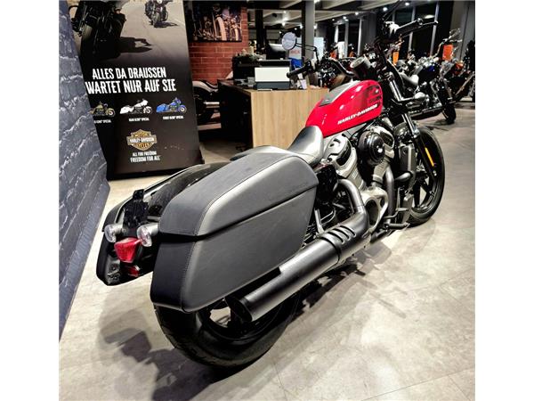 Nightster 