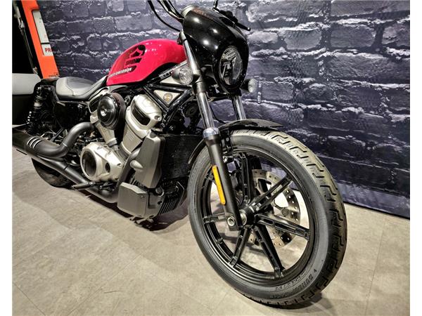 Nightster 