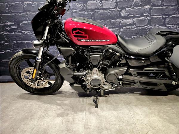 Nightster 