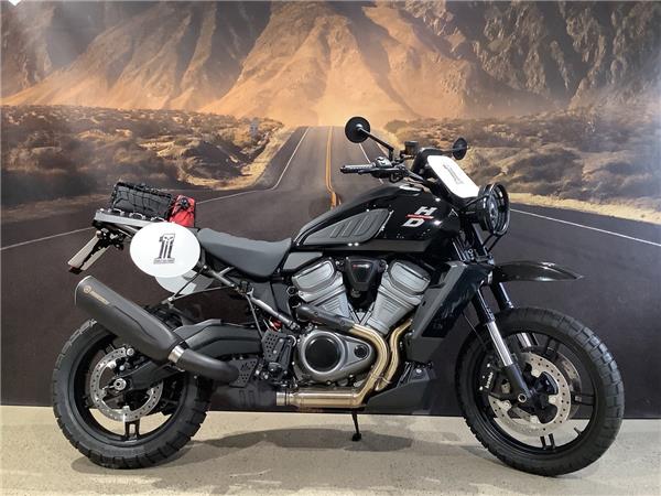 RA 1250 Pan America UMBAU