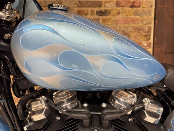 New Harley-Davidson Softail