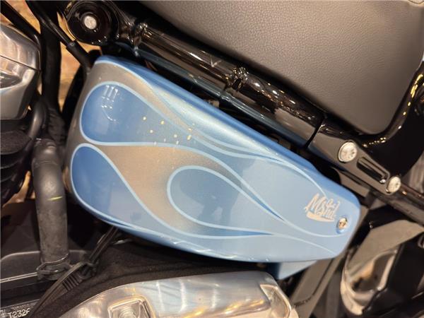 New Harley-Davidson Softail