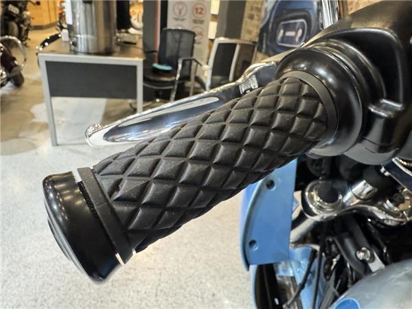 New Harley-Davidson Softail