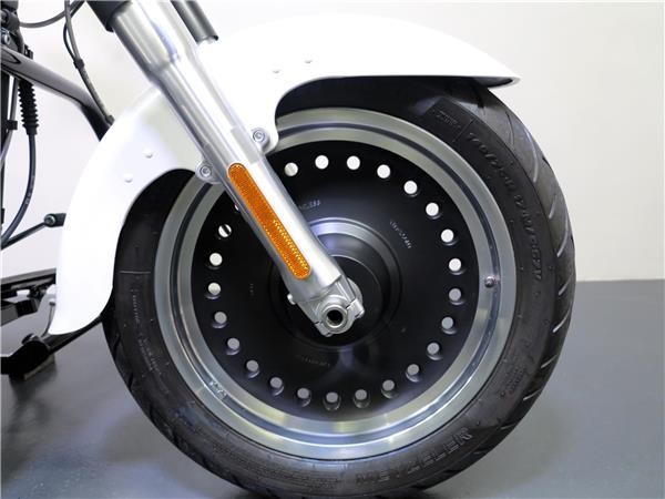 2011 HARLEY-DAVIDSON Softail FLSTFB Fat Boy Special ABS
