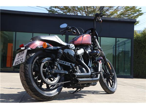 Iron 1200™ TWISTED CHERRY 2019