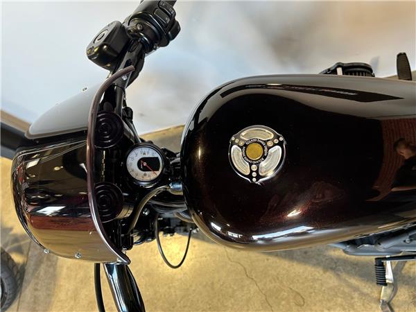 2018 HARLEY-DAVIDSON IRON