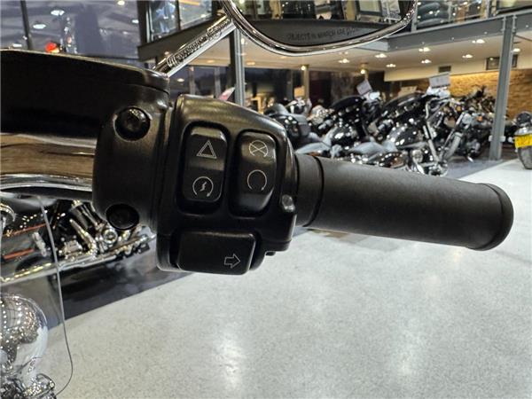 2023 Harley-Davidson Softail