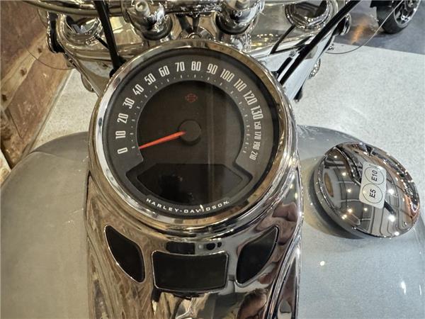2023 Harley-Davidson Softail