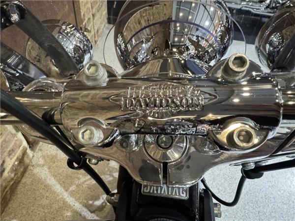 2023 Harley-Davidson Softail