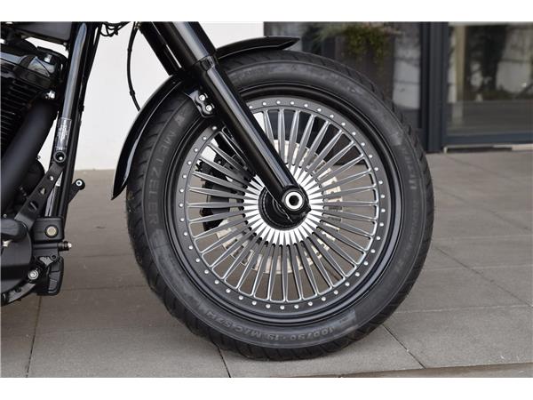 FXST Softail Standard Custom Umbau (mit TZ)