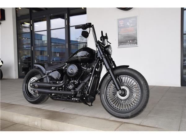 FXST Softail Standard Custom Umbau (mit TZ)