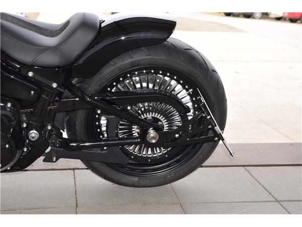 FXST Softail Standard Custom Umbau (mit TZ)