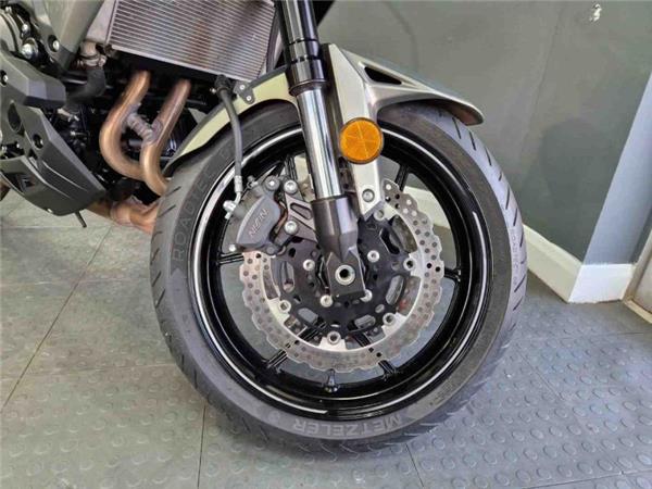 2024 Kawasaki VERSYS 650 Green