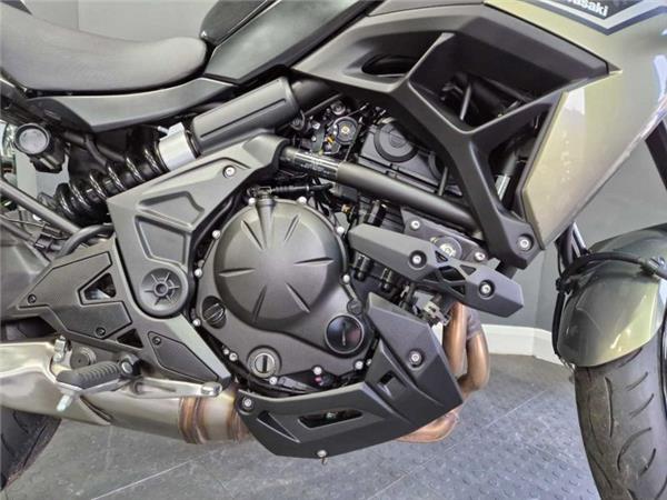 2024 Kawasaki VERSYS 650 Green