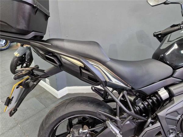 2024 Kawasaki VERSYS 650 Green