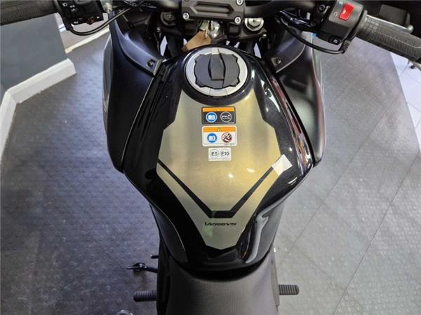 2024 Kawasaki VERSYS 650 Green