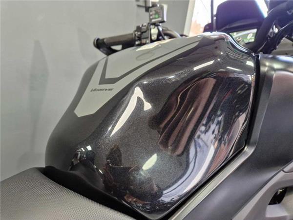2024 Kawasaki VERSYS 650 Green