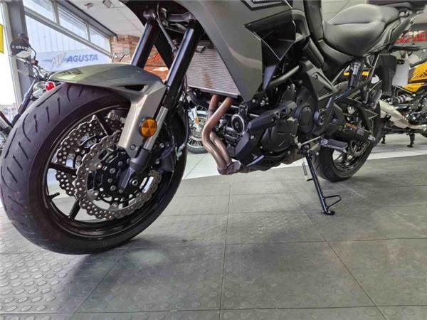 2024 Kawasaki VERSYS 650 Green