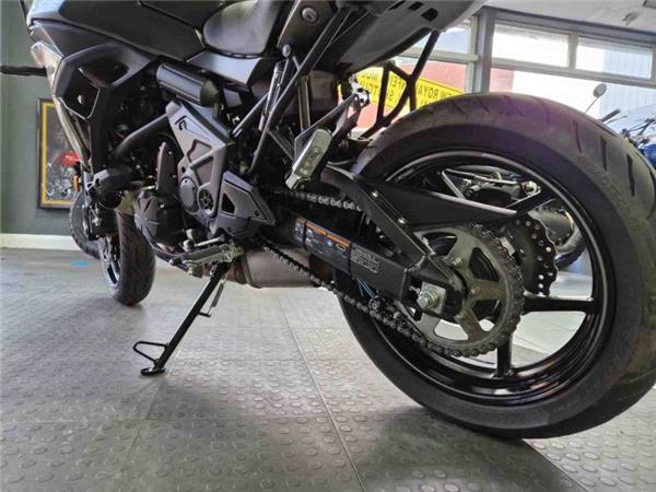 2024 Kawasaki VERSYS 650 Green