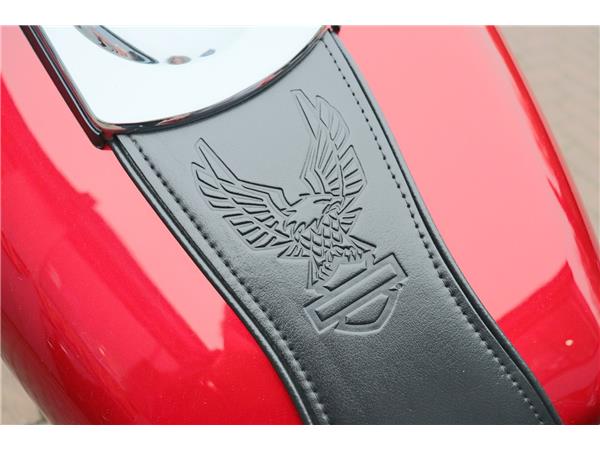 2011 HARLEY-DAVIDSON DYNA FLD SWITCHBACK