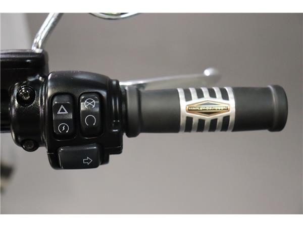 2021 HARLEY-DAVIDSON SOFTAIL FLSL SLIM