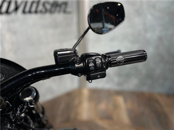 2017 HARLEY-DAVIDSON DYNA FXDLS LOW RIDER S