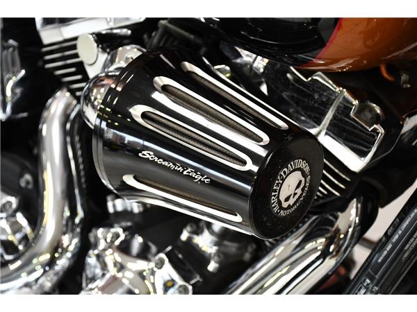 2014 HARLEY-DAVIDSON DYNA FXDL LOW RIDER