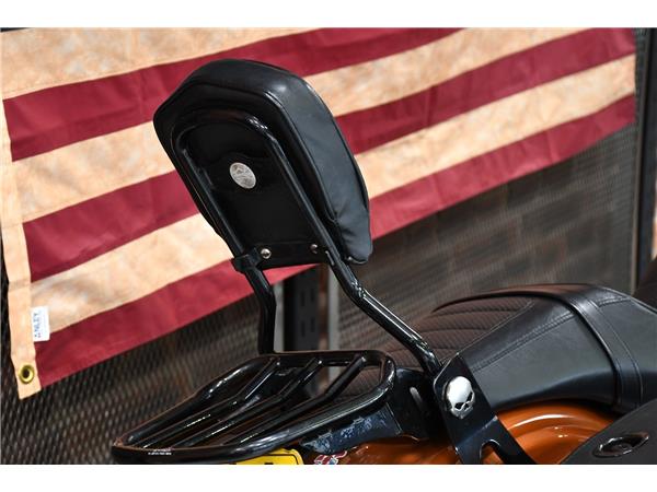 2014 HARLEY-DAVIDSON DYNA FXDL LOW RIDER