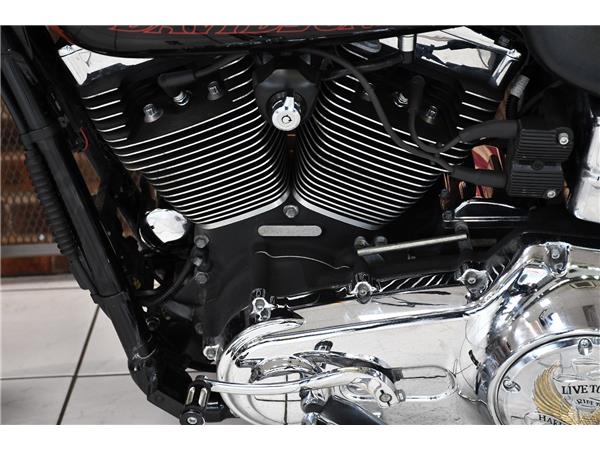 2014 HARLEY-DAVIDSON DYNA FXDL LOW RIDER