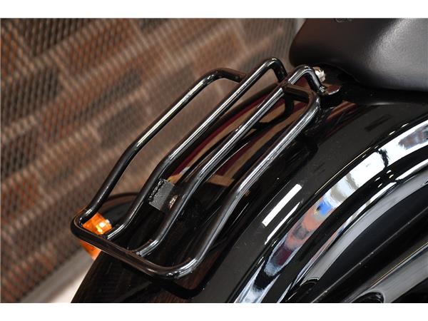 2021 HARLEY-DAVIDSON SPORTSTER XL1200NS IRON 1200