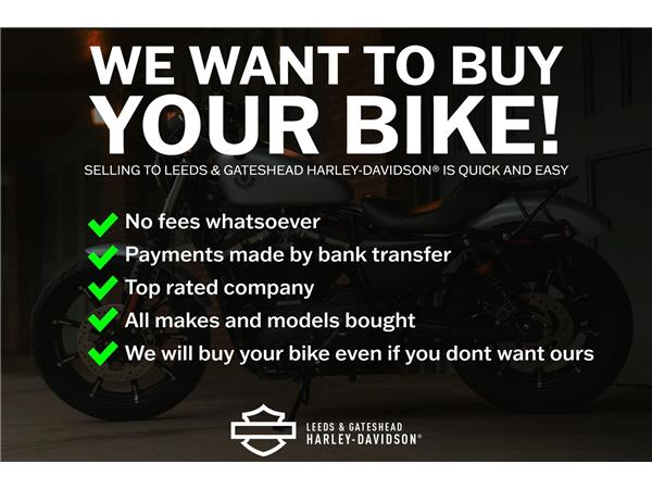 2021 HARLEY-DAVIDSON SPORTSTER XL1200NS IRON 1200