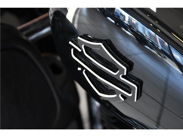 2019 HARLEY-DAVIDSON TOURING FLHX STREET GLIDE